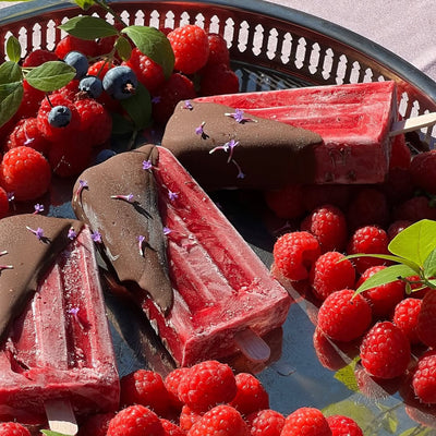 Dark Chocolate Dipped Popsicles
