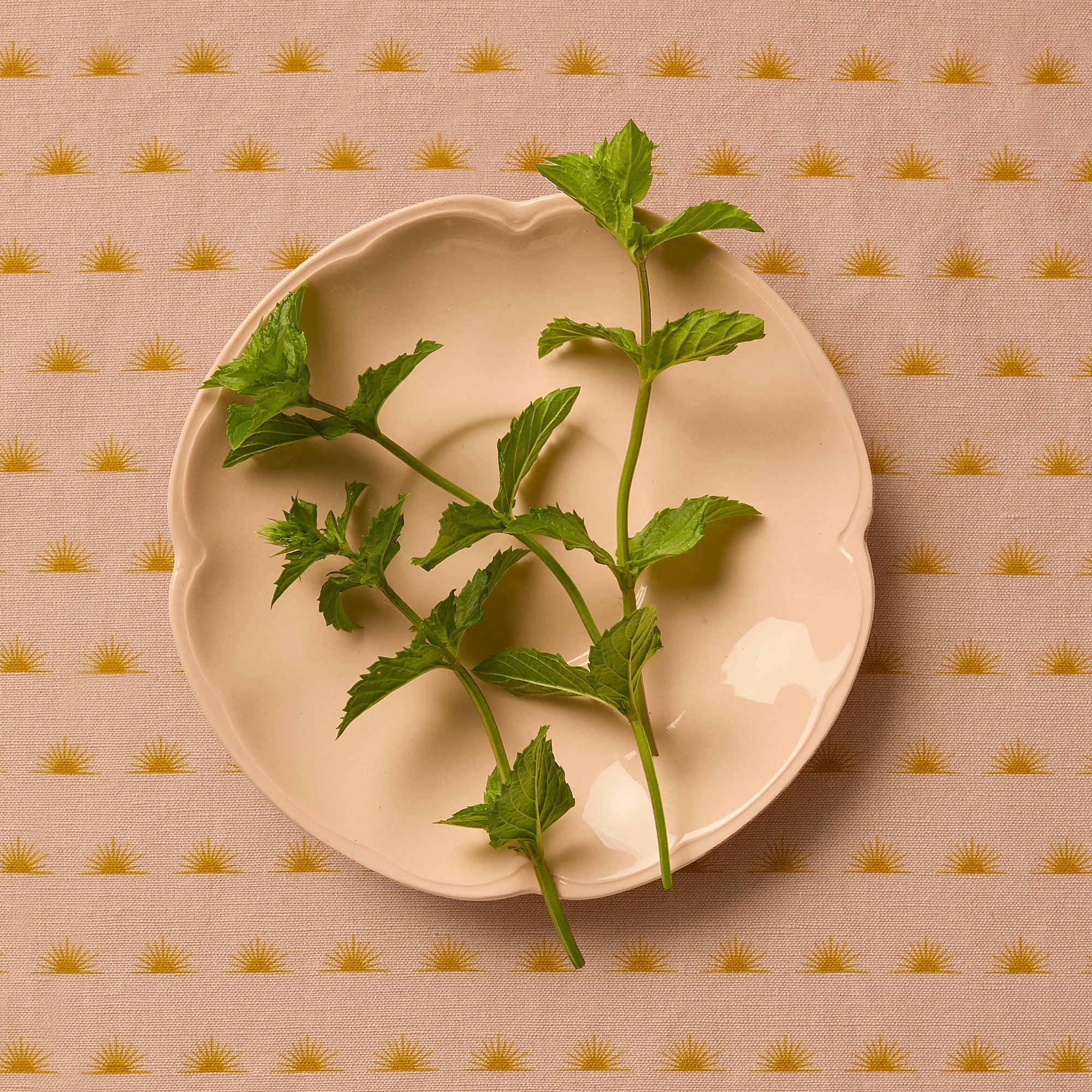Sprigs of mint leaf on a peach plate and a peach patterned tablecloth